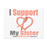Endometrial Cancer I Support My Sister Post Card