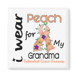 Endometrial Cancer I Wear Peach For My Grandma 43