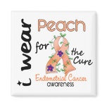 Endometrial Cancer I Wear Peach For The Cure 43