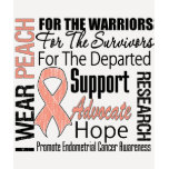Endometrial Cancer I Wear Peach Ribbon TRIBUTE t-shirts