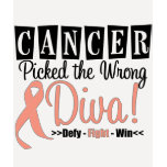 Endometrial  Cancer Picked The Wrong Diva v2 t-shirts