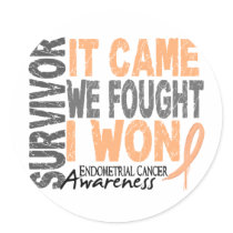 Endometrial Cancer Survivor It Came We Fought