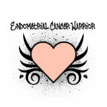 Endometrial Cancer Warrior Heart t-shirts