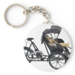 EnergyEfficientRickshaw112709 copy Keychain