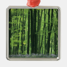 England, Beech forest & Bluebells Christmas Tree Ornament