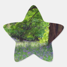 English Bluebells Sticker