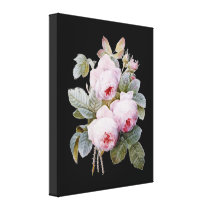 English Bourbon Roses on Black by Redoute Stretched Canvas Prints