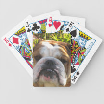 English bull dog deck of playing cards