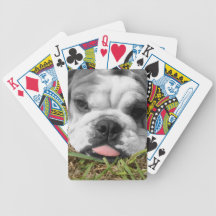 English bull dog deck of playing cards