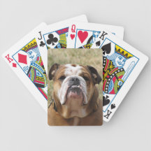 English bull dog deck of playing cards