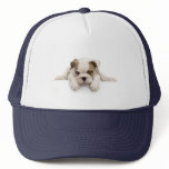 English Bull Dog Hat