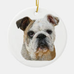 English Bull Dog Ornament
