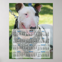 English bull terrier 2012 calendar poster print