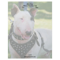 English bull terrier personalized letterhead