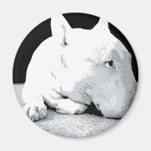 English Bull Terrier, Pop Art Print Refrigerator Magnet
