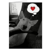 english bull terrier valentine greeting cards