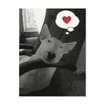 english bull terrier valentine postcards