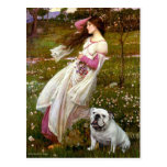 English Bulldog 9 - Windflowers Post Card