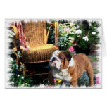 English Bulldog Art Gifts Cards