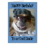 English Bulldog Birthday Card, Cool Dude