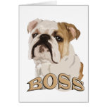 English bulldog_BOSS cards