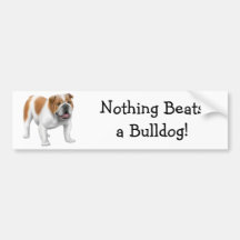 English Bulldog Bumper Sticker