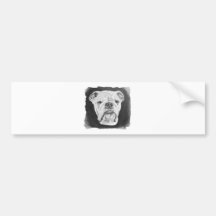 English Bulldog Bumper Sticker