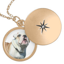 English bulldog gold finish round locket
