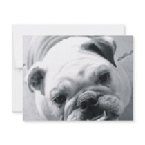 English Bulldog Invitation