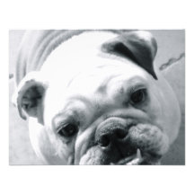 English Bulldog Invitation