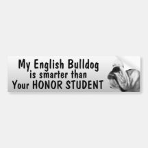 English Bulldog is smarter than student - funny Bumper Sticker