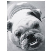 English Bulldog Personalized Letterhead