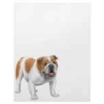 English Bulldog Letterhead