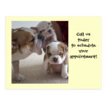 English Bulldog Mom &Pups postcards shot reminder
