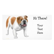 English Bulldog Photo Card