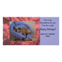 English Bulldog Photo Christmas Holiday Cards Photo Cards
