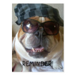 English Bulldog postcard reminder