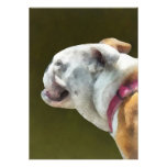 English Bulldog Profile Announcement