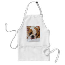 English bulldog puppy apron