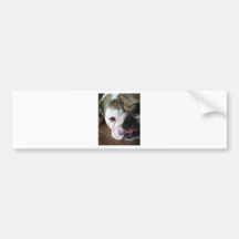 English Bulldog Puppy Bumper Sticker