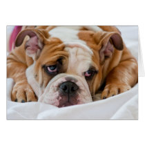 English bulldog puppy greeting card