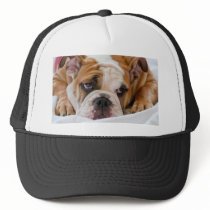English bulldog puppy trucker hat