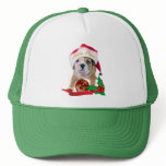 English bulldog puppy in Santa Hat Apparel