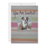 English Bulldog Puppy Invitations