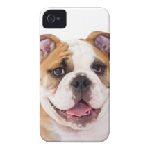 English Bulldog Puppy iPhone 4 Cases
