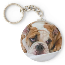 English bulldog puppy key chains