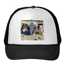 English Bulldog Puppy Love! Hat