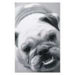 English Bulldog Stationery