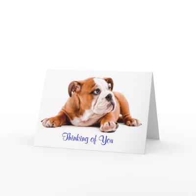 English Bulldog Thinking of You Card Verse inside by alwaysdogs
