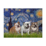 English Bulldog Trio - Starry Night Postcards